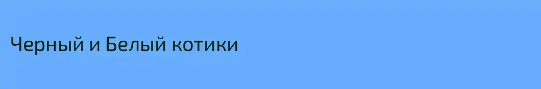 Черный и Белый котики